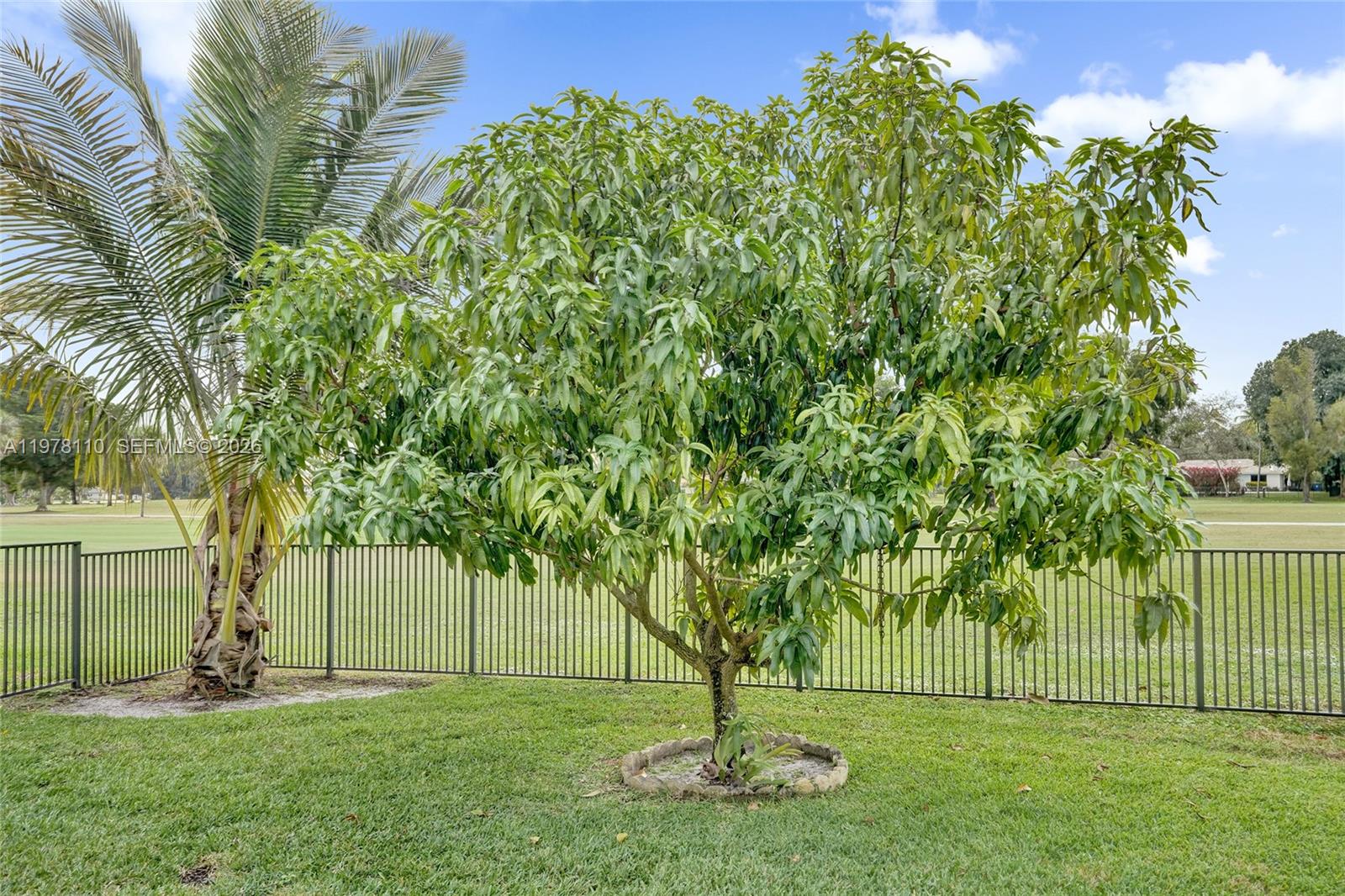 CORAL SPRINGS COUNTRY CLU - Residential