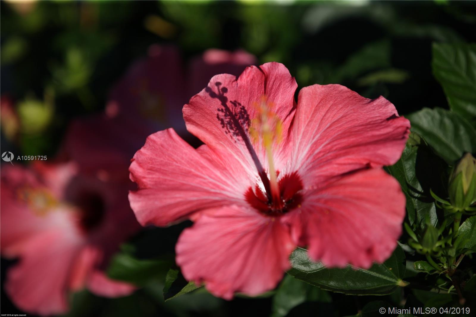 Jupiter Island - Residential