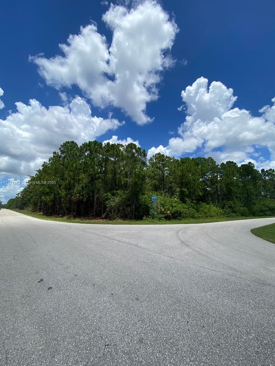13 ACRES LOOKING FOR A DEVELOPER