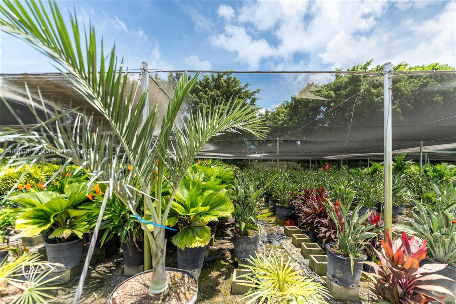 KROME AVE 27.61 ACRE LAND - Land