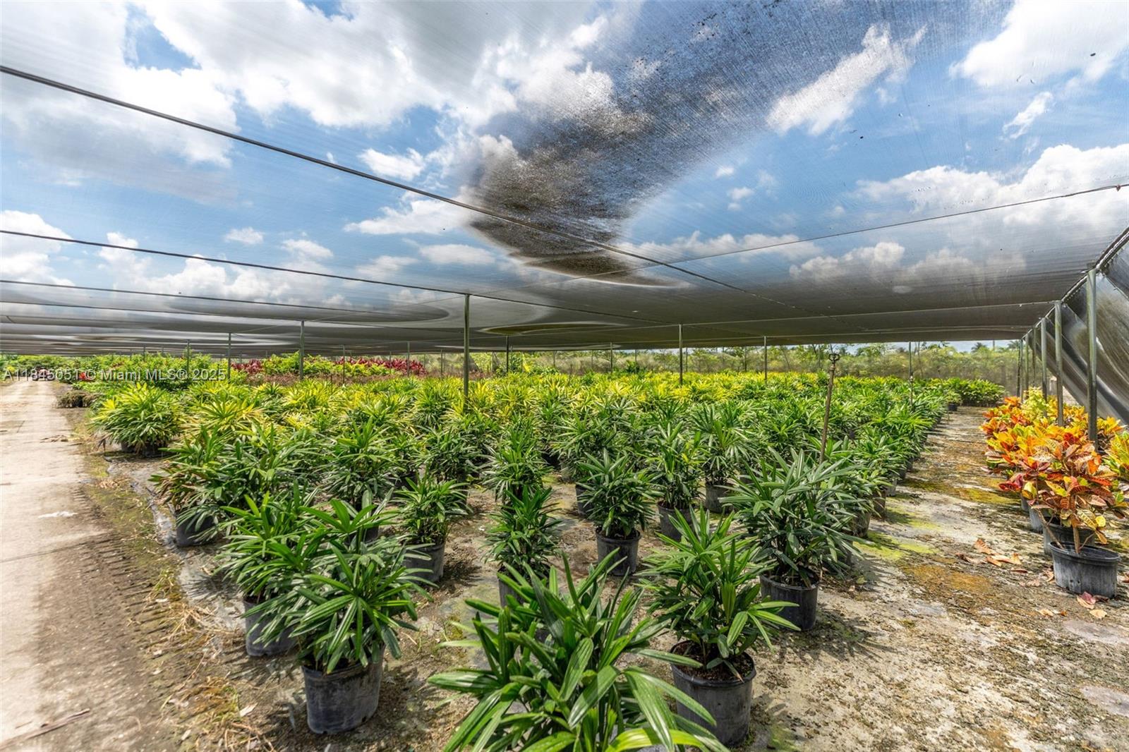 KROME AVE 27.61 ACRE LAND - Land