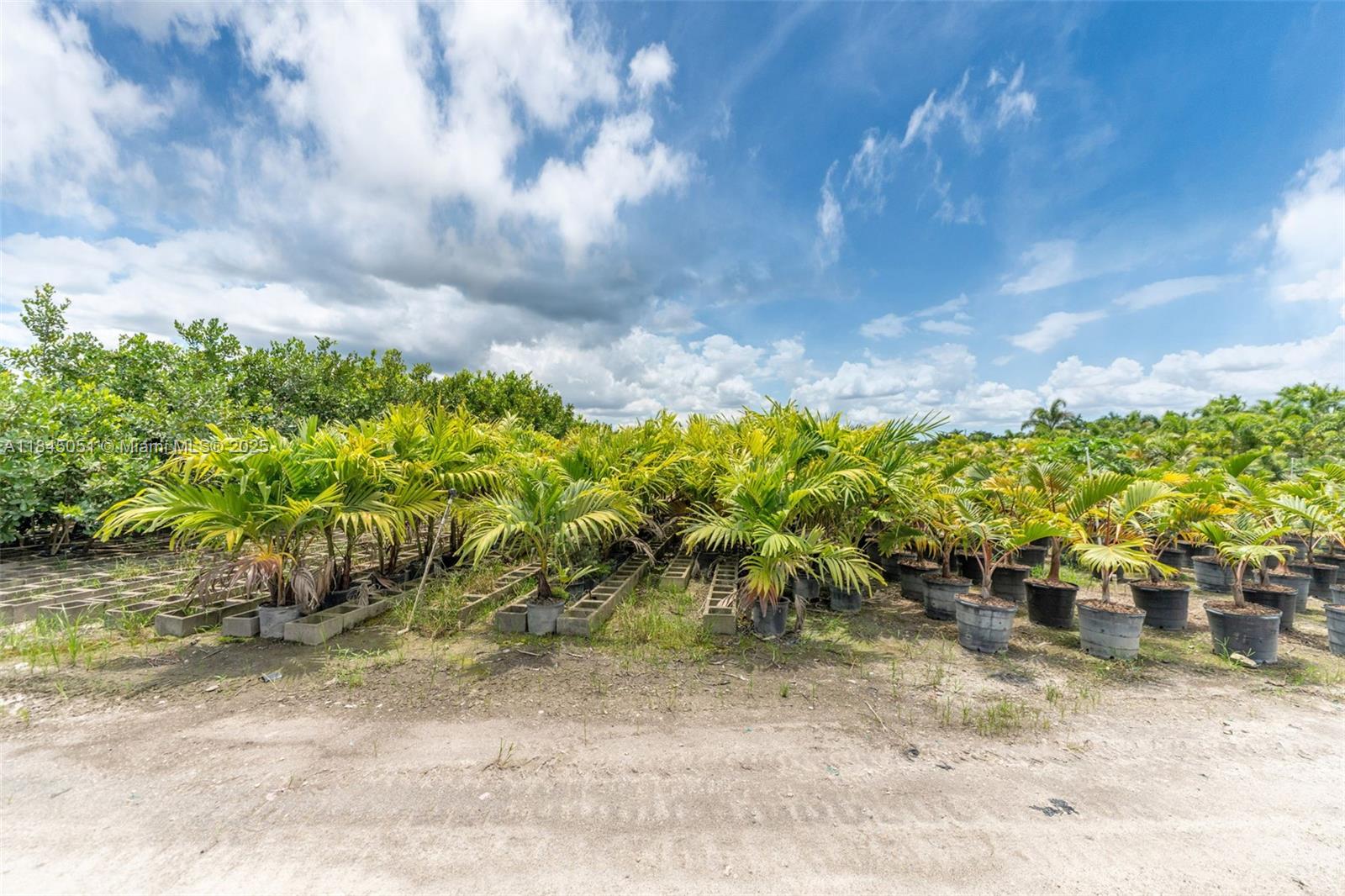 KROME AVE 27.61 ACRE LAND - Land