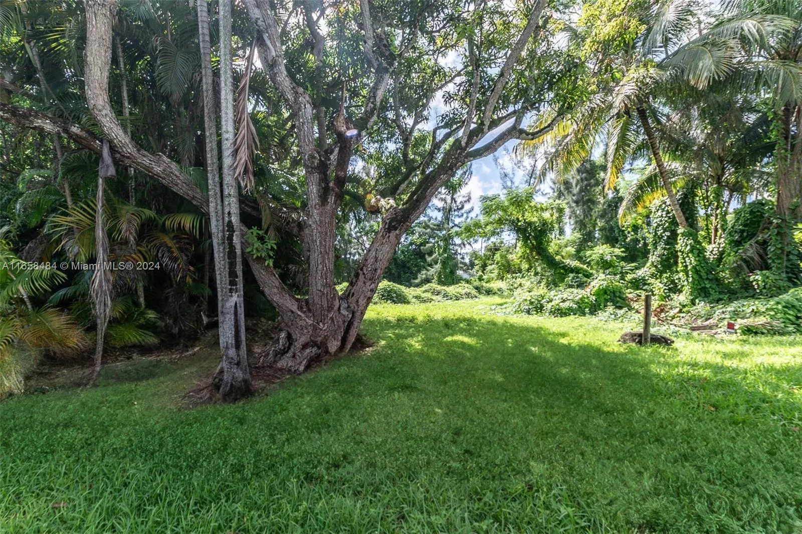 Palmetto Bay, Florida 33157, United States, ,Land,Active,43926