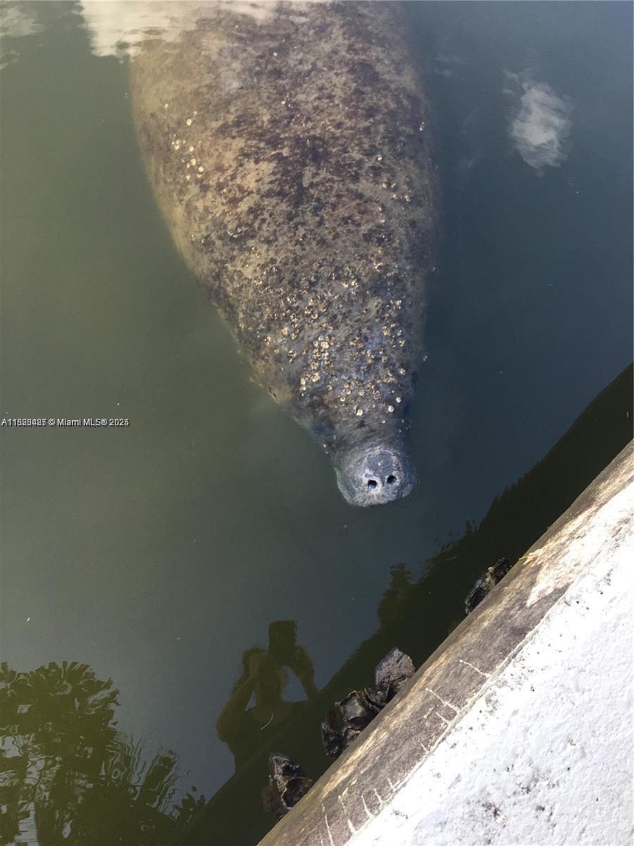 OCEAN HARBOUR CONDOMINIUM - Residential Lease