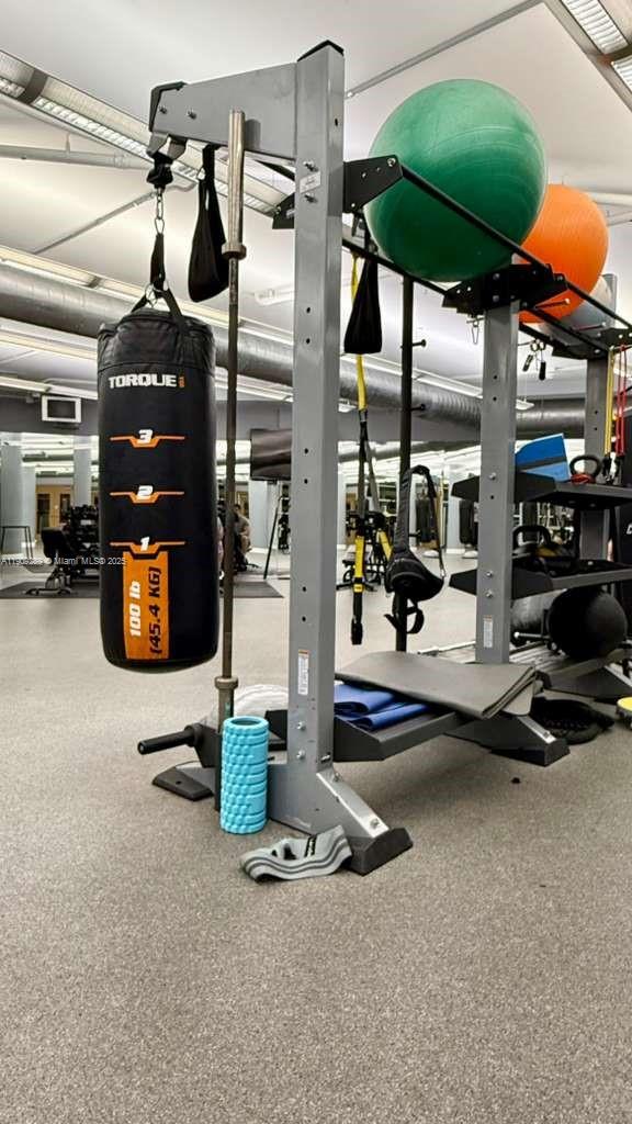 VIZCAYNE SOUTH CONDO - Residential