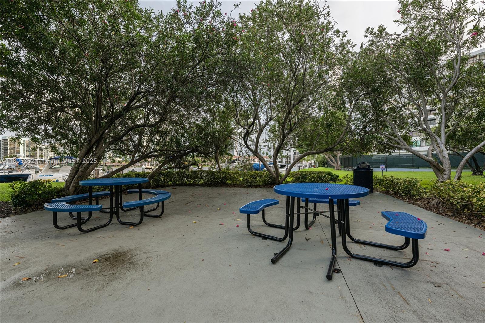 OLYMPUS CONDO - Residential Lease