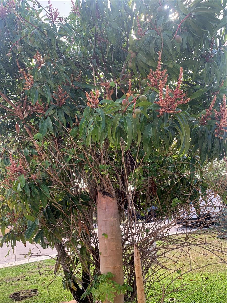 THE DELLS - Residential