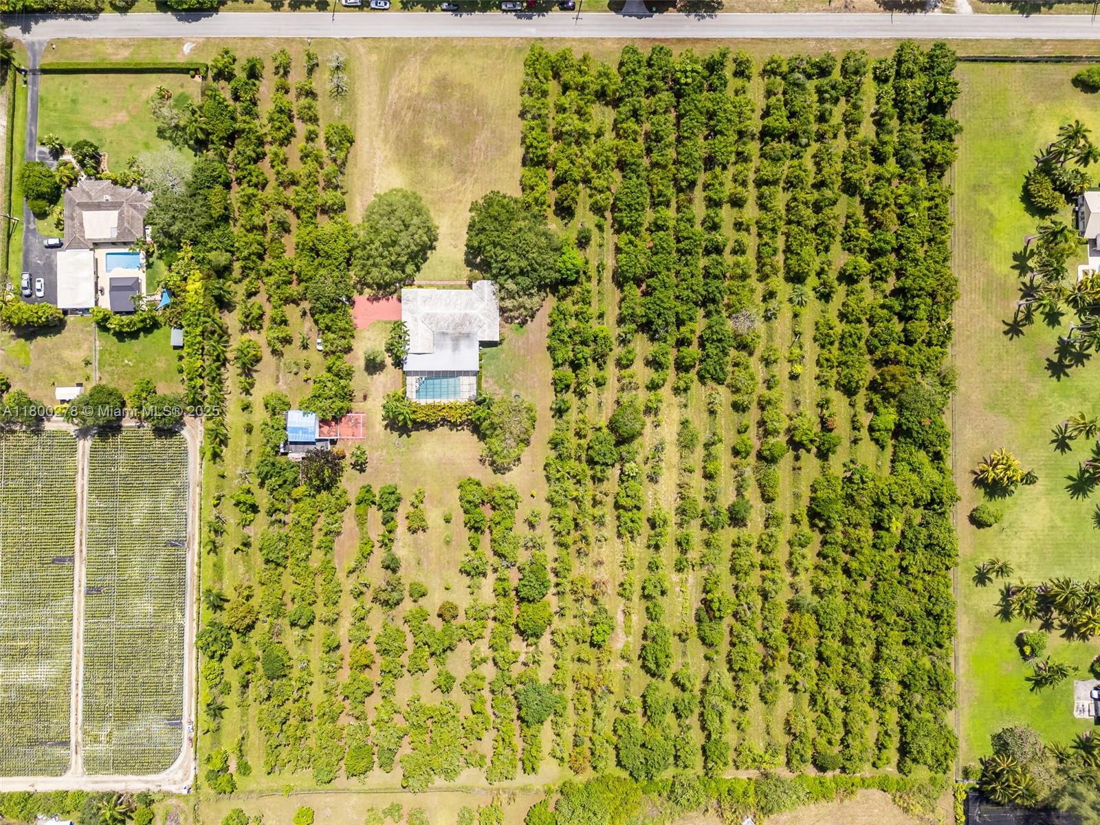 Discover a stunning, almost 10-acre property, featuring a house with 5 spacious bedrooms and 3 bathrooms, a covered screen pool. Surrounding the property are lush groves of 500 avocado trees and 3 mango trees, creating a serene and picturesque environment, and a tennis court for recreation. Outbuilding has water & electric connection. Ideal to have a Farm, Dream Home, or Bed & Breakfast Facility. You may divide the 10 acres of land into two 5-acre parcels. Electric Well water supply. Water softener for the entire house. A must-see away from the hustle and bustle of city life!! Live in the main house and let that rental income work for you while you enjoy your paradise, raise animals, expand your business, and cultivate your private retreat. The possibilities are endless! Call me today!