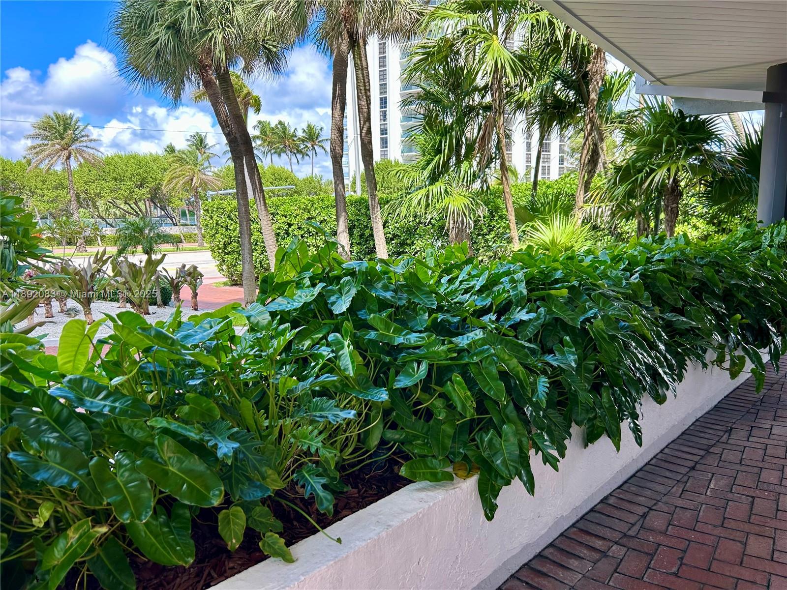 5415 Collins Ave 302