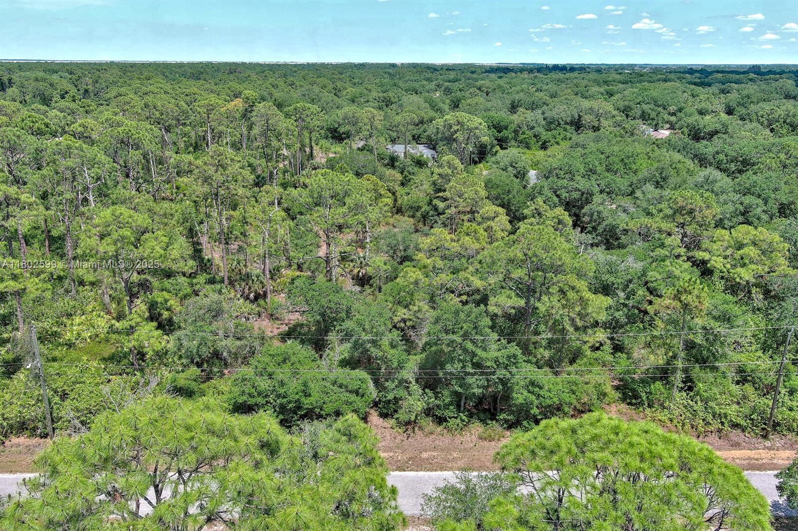 Exclusively presented by Sunland Real Estate: Rare 1 acre parcel in Lehigh Acres, just off Joel Blvd. Quick access to State Road 80 and Interstate 75, plus all that south west Florida has to offer. This lot is high and dry, in a quite yet convenient neighborhood. This lot is 1 acre which is hard to find in Lehigh Acres.
