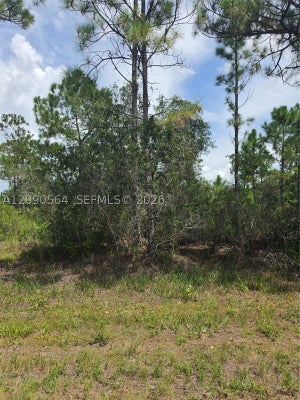 TROPICANA DR, INDIAN LAKE ESTATES, FL 33855 - Image 643d0b933d73294a92e730308f3fe2c8/1485942517