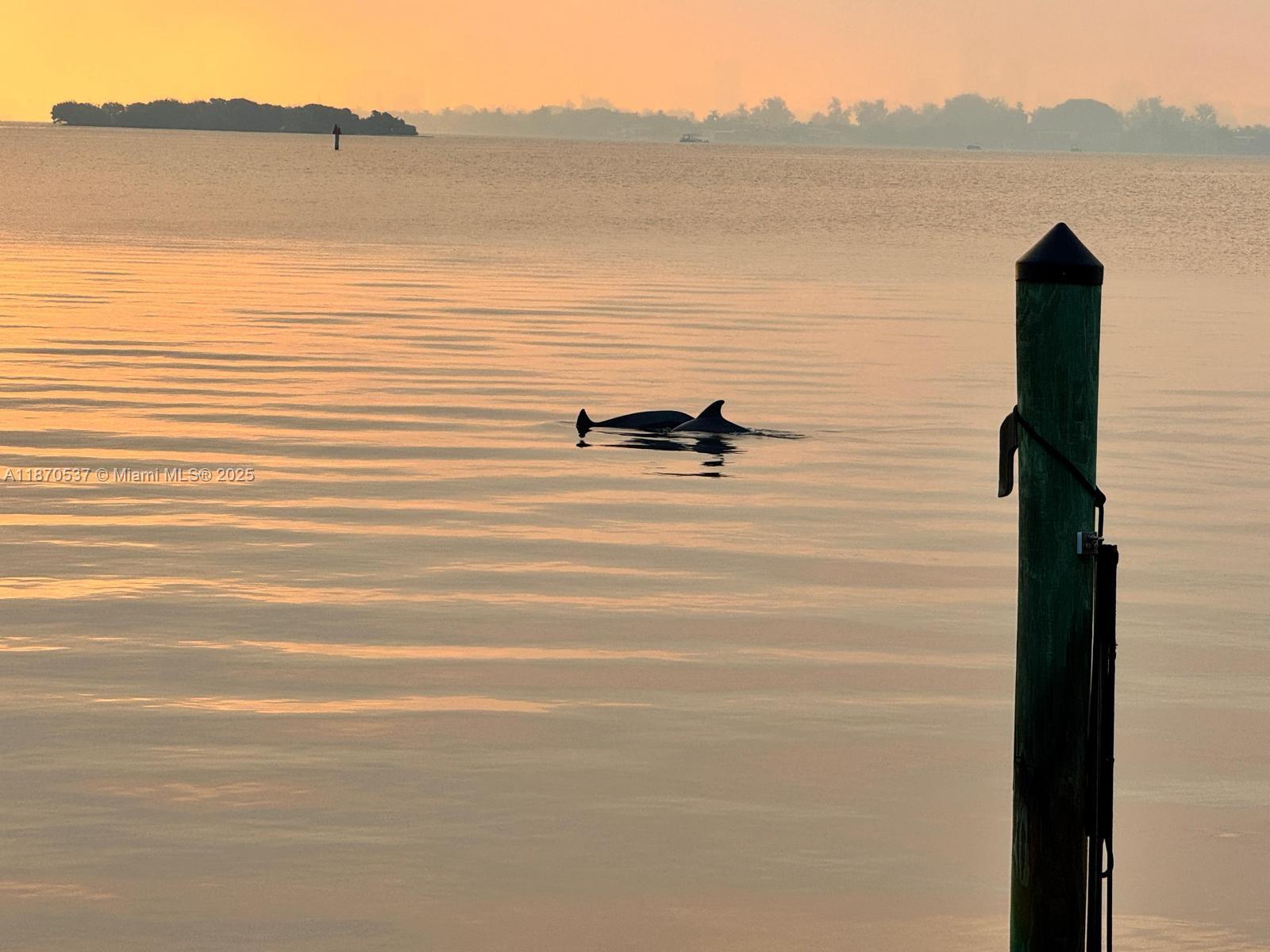 BAY LURE - Residential