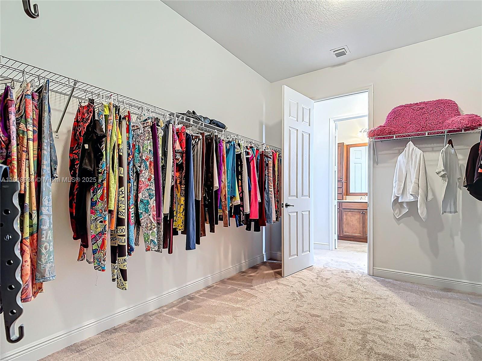 MAPLE RIDGE AT AVE MARIA P - Residential