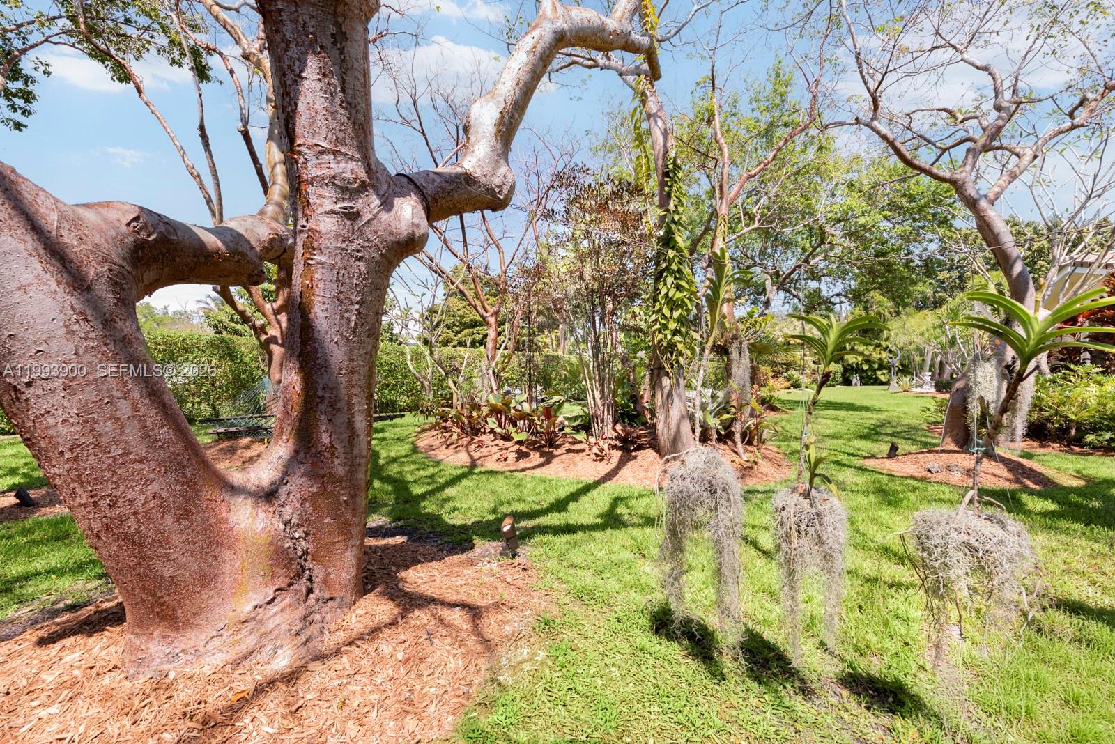 PALMETTO COURT - Residential