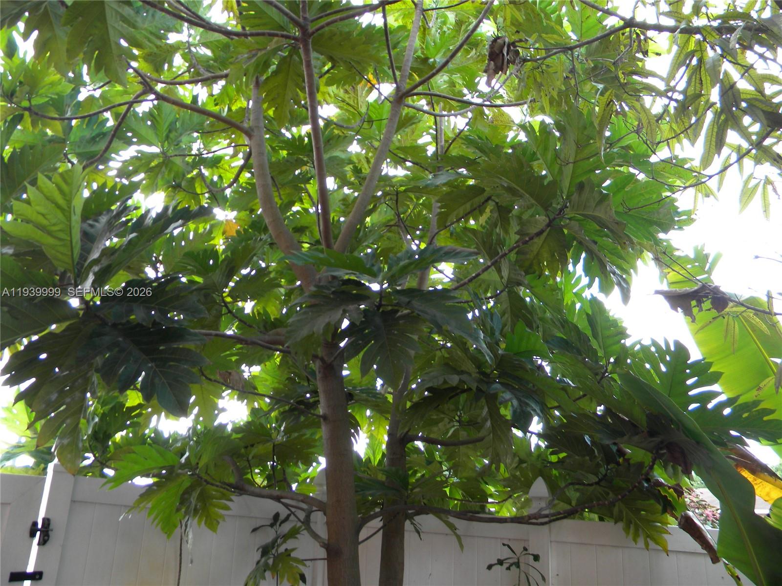 LAUDERDALE NORTH PARK SEC - Residential