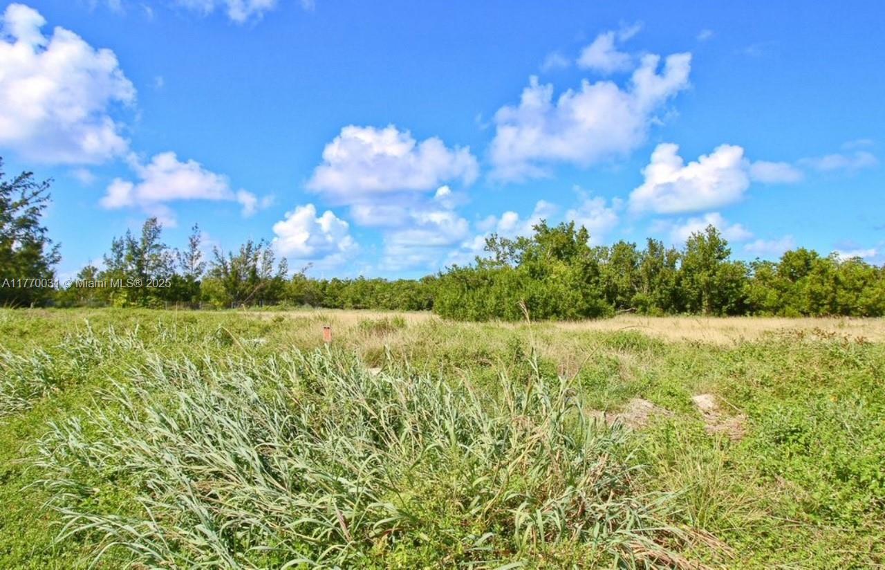 COCO PLUM BREEZE - Land