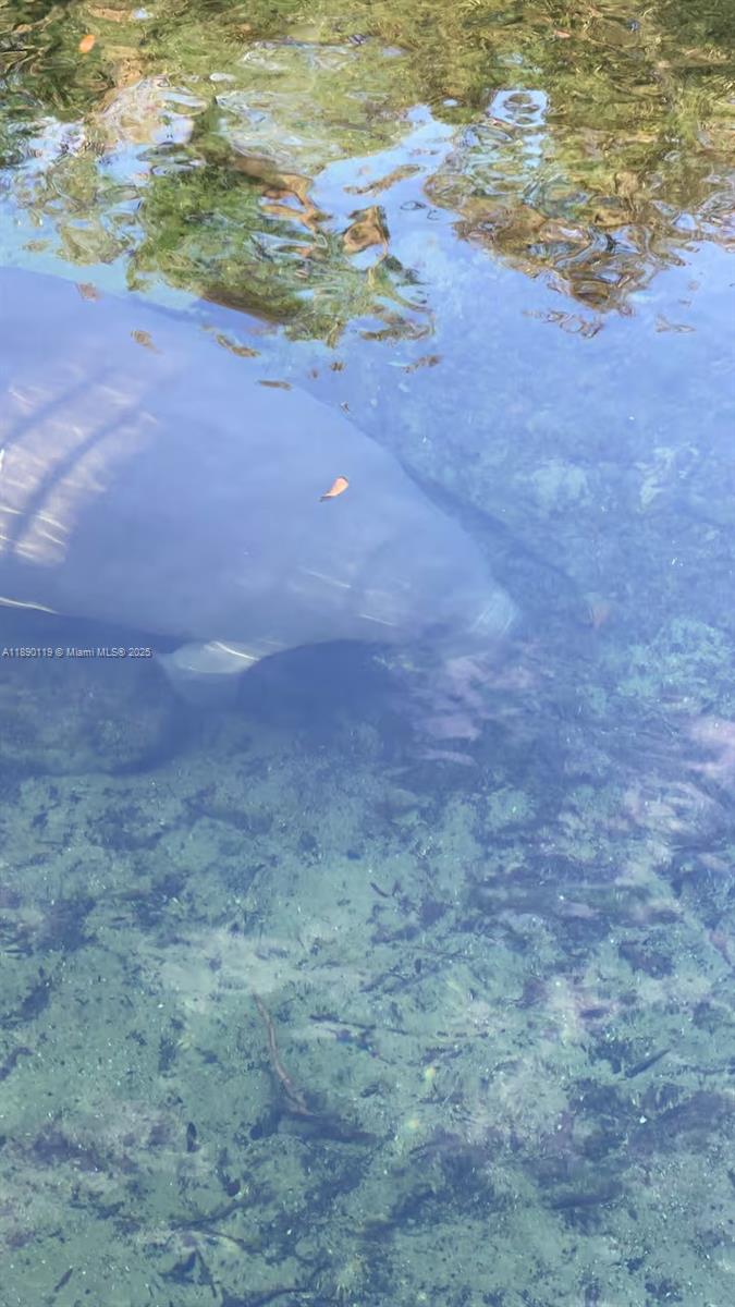MANATEE BAY CLUB - Residential Lease