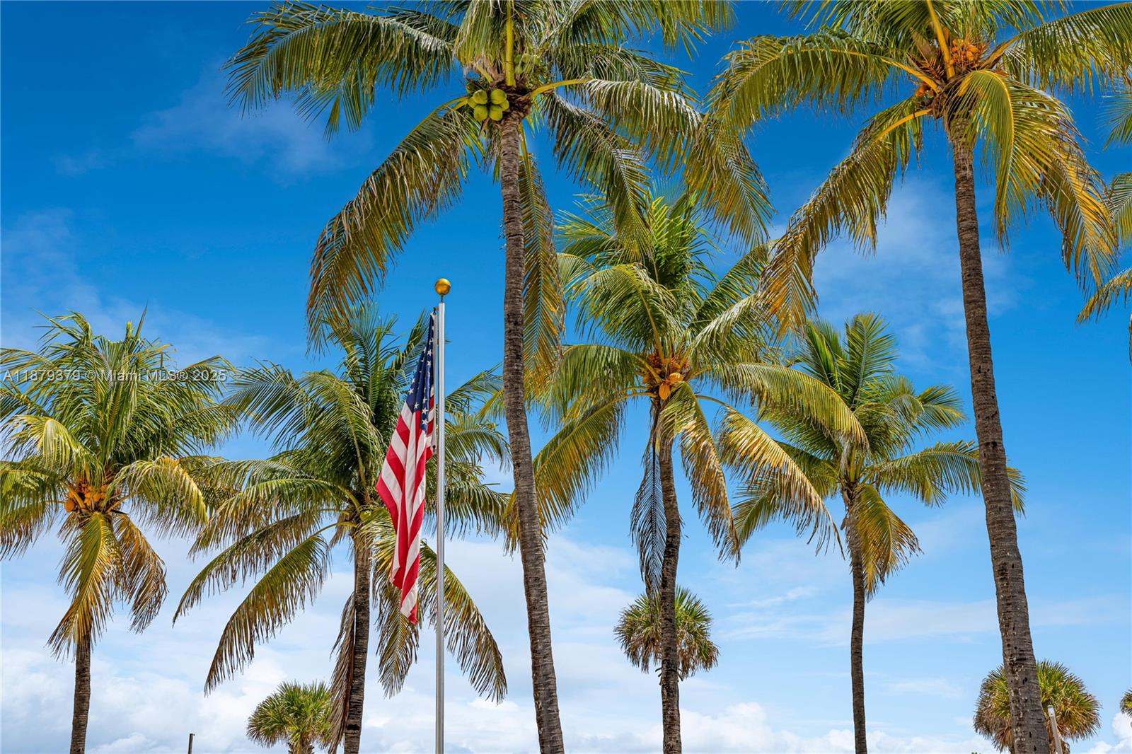 THE CARRIAGE CLUB NORTH C - Residential