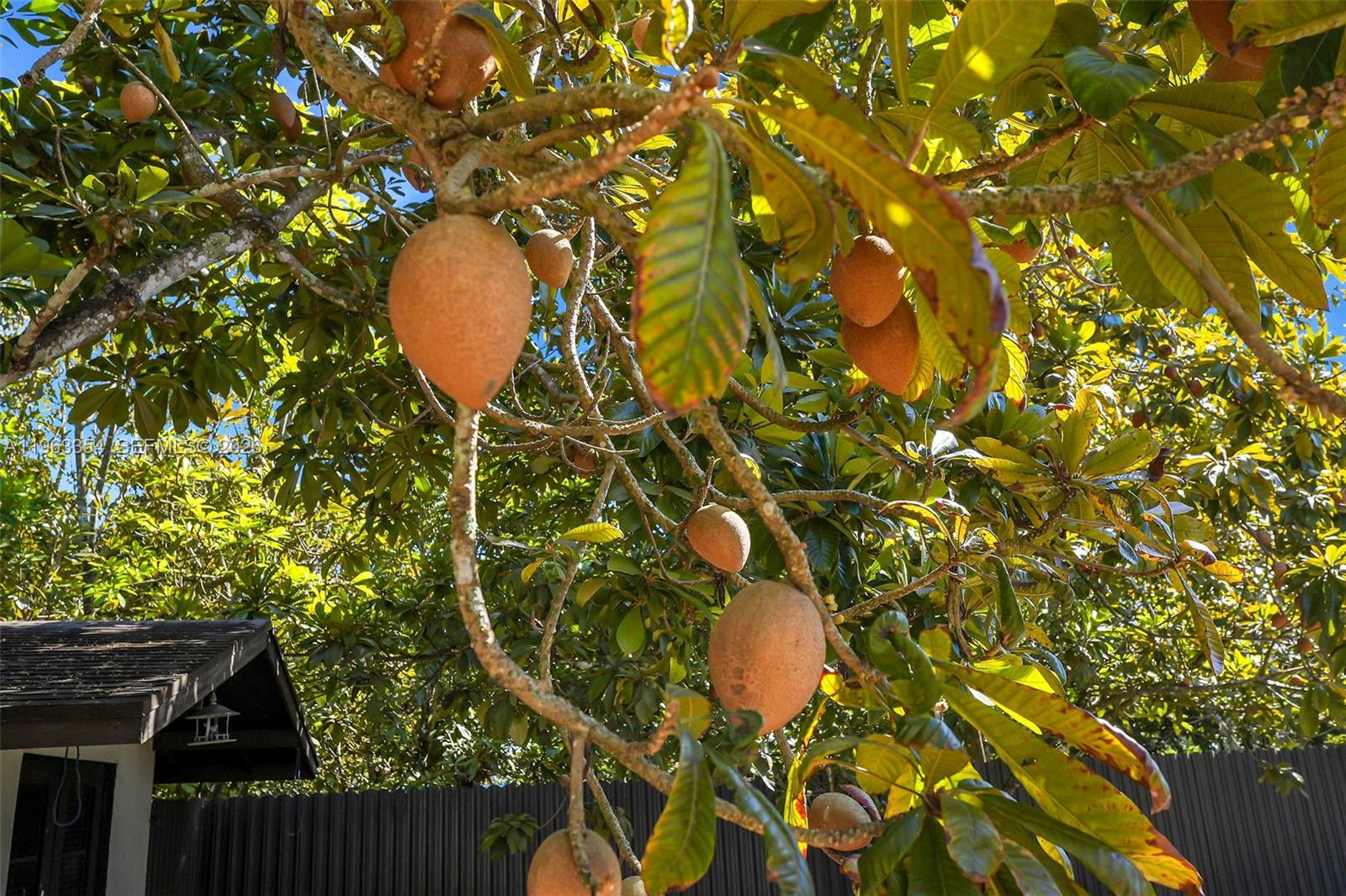 redlands - Residential