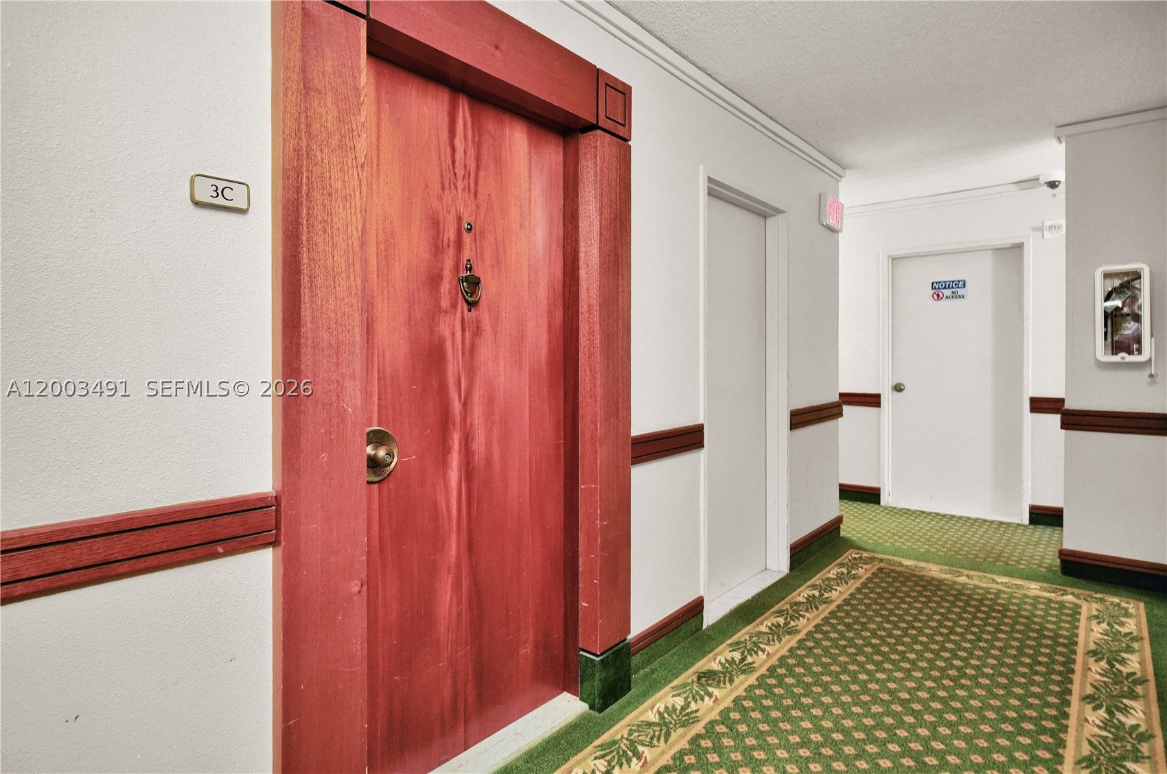 5555 Collins Ave 3C