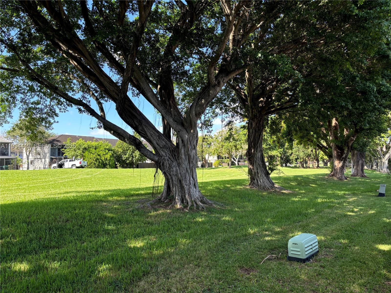 JASMINE AT THE HAMMOCKS 1 - Residential Lease