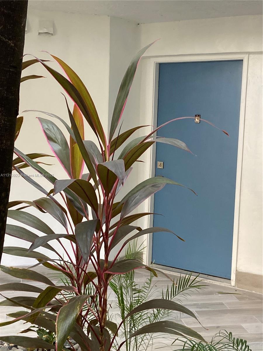 BLEAU FONTAINE CONDO #2 - Residential Lease