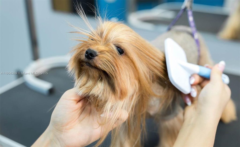 Photo of Pet Grooming, Pompano Beach, FL 33060 (MLS # A11904269)