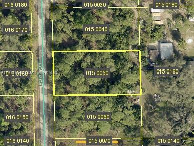 Build your dream home on this large, oversized lot in growing Lehigh Acres. Houses already built in the area.