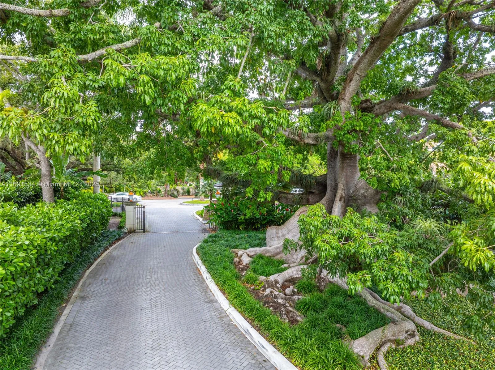 Miami, Florida 33133, United States, ,Land,Active,33608