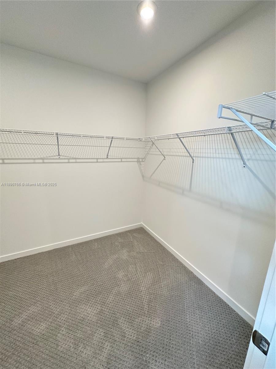 FOREST - Residential Lease