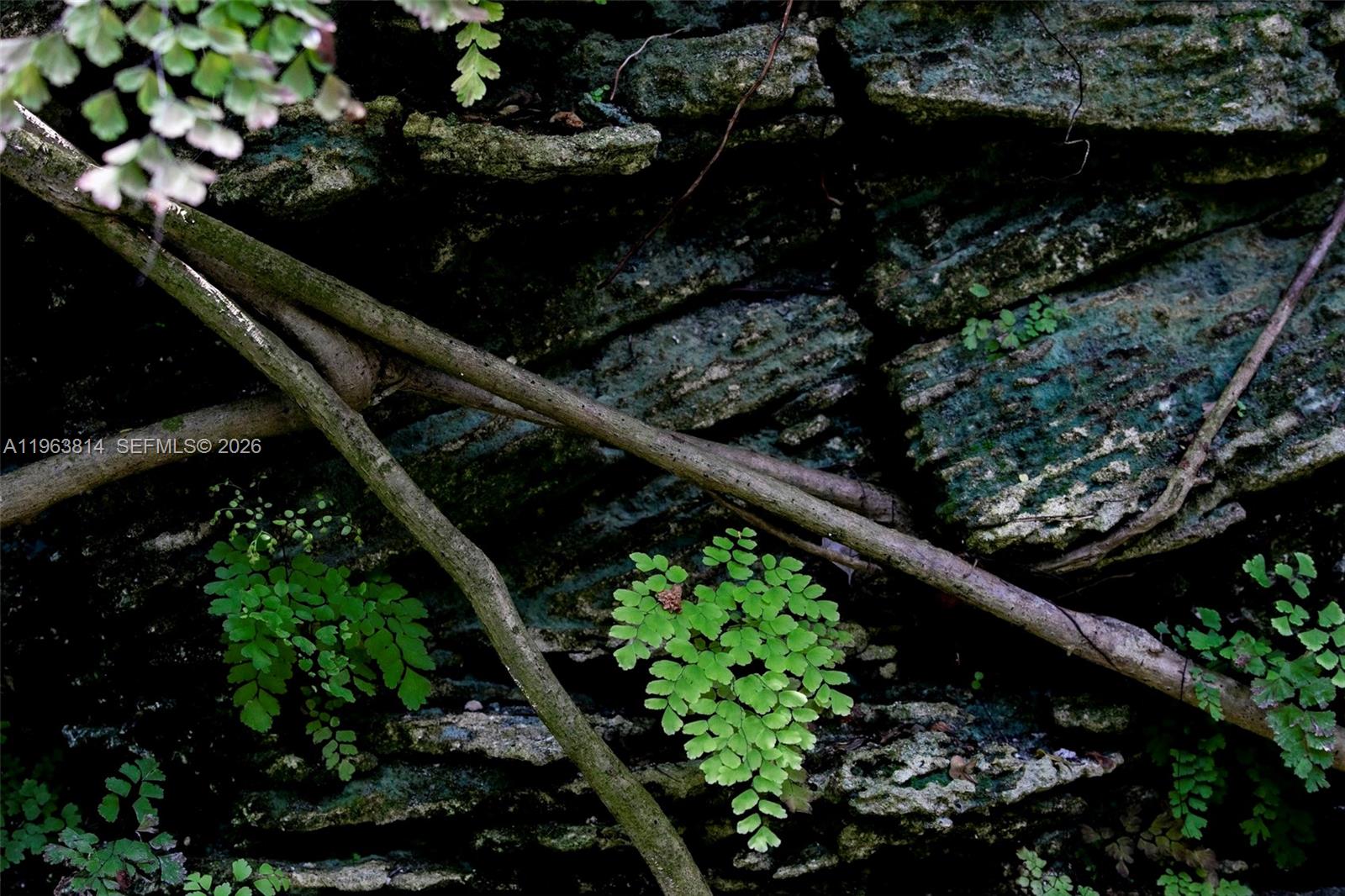 COLLINS MANOR - Residential