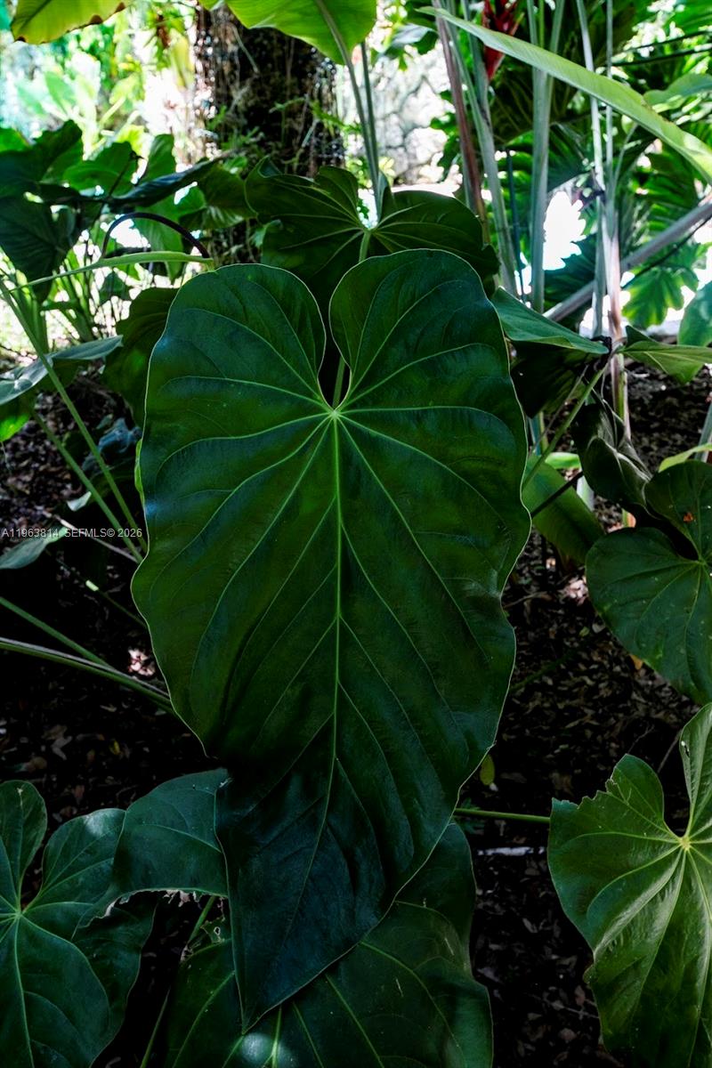 COLLINS MANOR - Residential