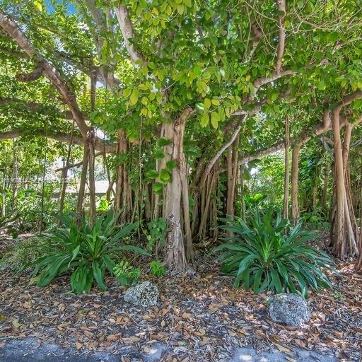 COLLINS MANOR - Residential