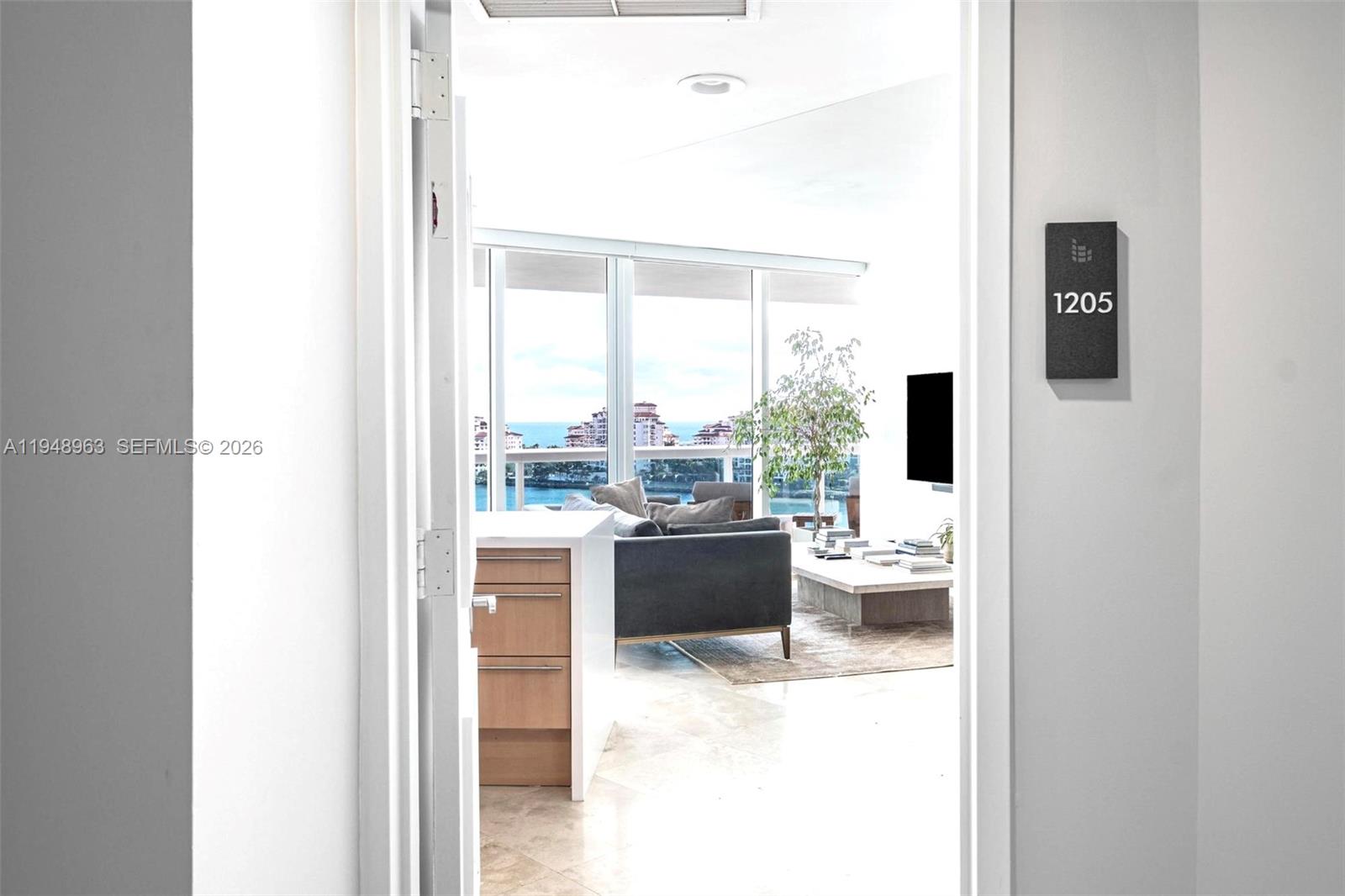 1000 S Pointe Dr 1205