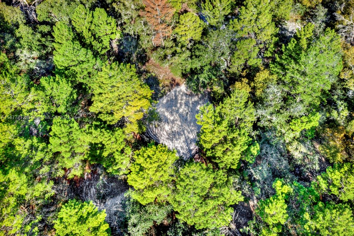 Sebring, Florida, 33825, United States, ,Land,Active,1898057