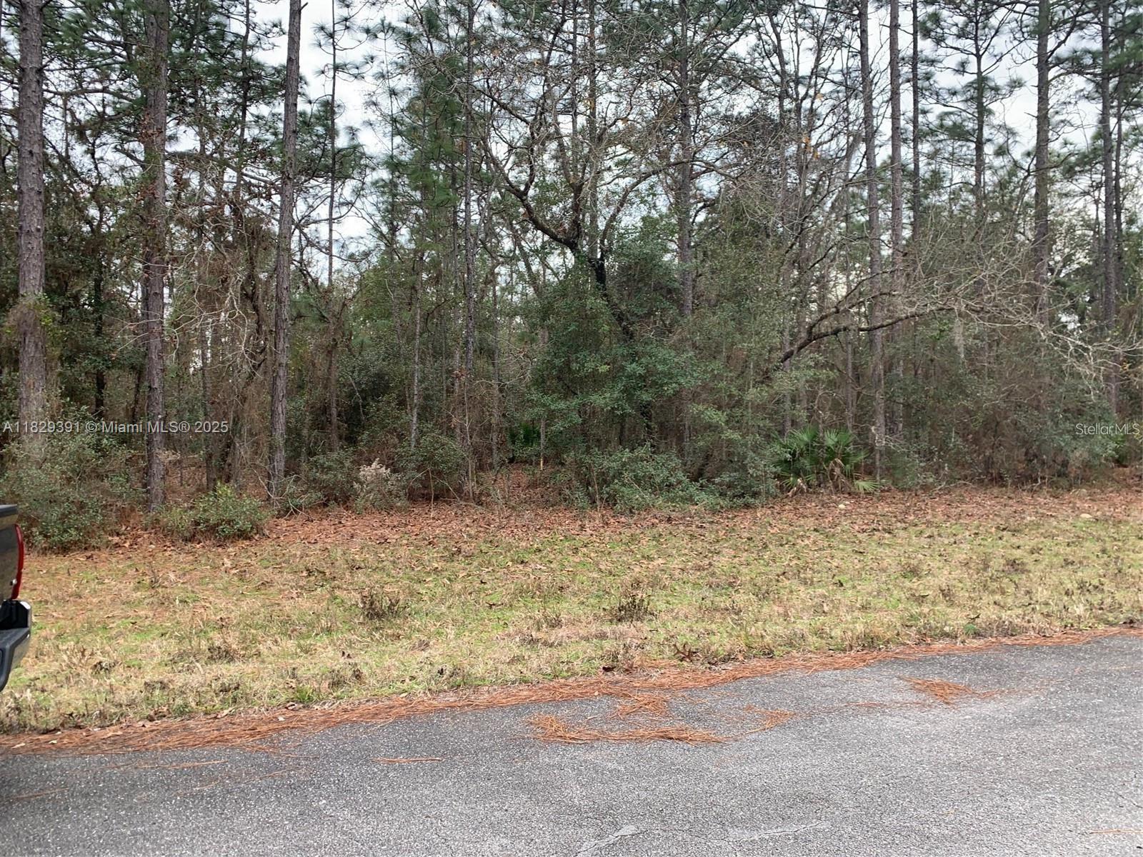 Nice flat wooded lot with new construction in the area, close to shopping, Walmart, businesses, groceries, restaurants, schools, quick access to Hwys 484, 200, I-75. Growing subdivision, no time limit to build. Buyer/Agent to verify all public record/utilities, invest now and build later. Marion County Utilities water line connection is needed.