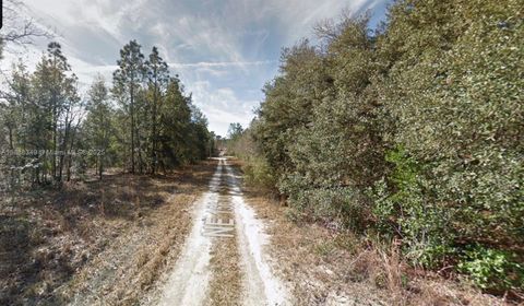 Lot 4 NE 156th Ct Williston FL 32696