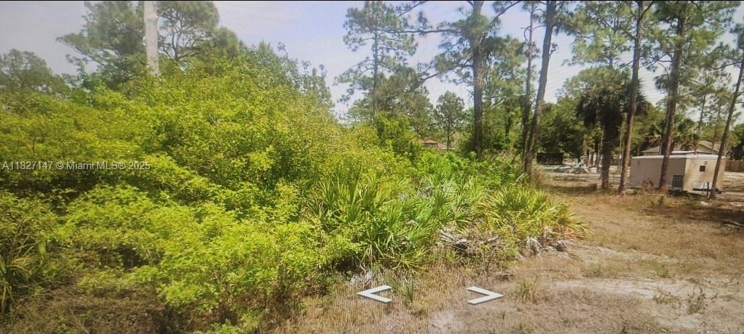 EXCELLENT HALF-ACRE LAND, WITH AN UNBEATABLE LOCATION, CLOSE TO THE HOSPITAL AND COMMERCIAL AREA, WITH GREAT APPRECIATION, IDEAL FOR BUILDING THE HOME OF YOUR DREAMS