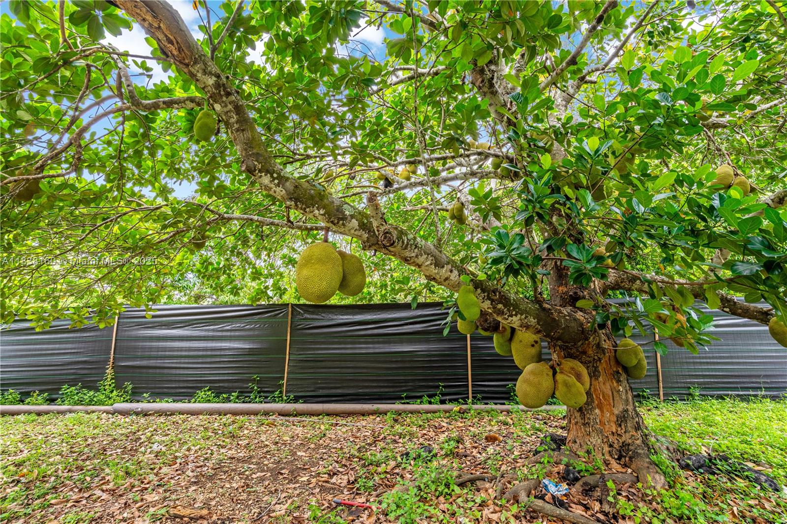 DIST:30 - Residential