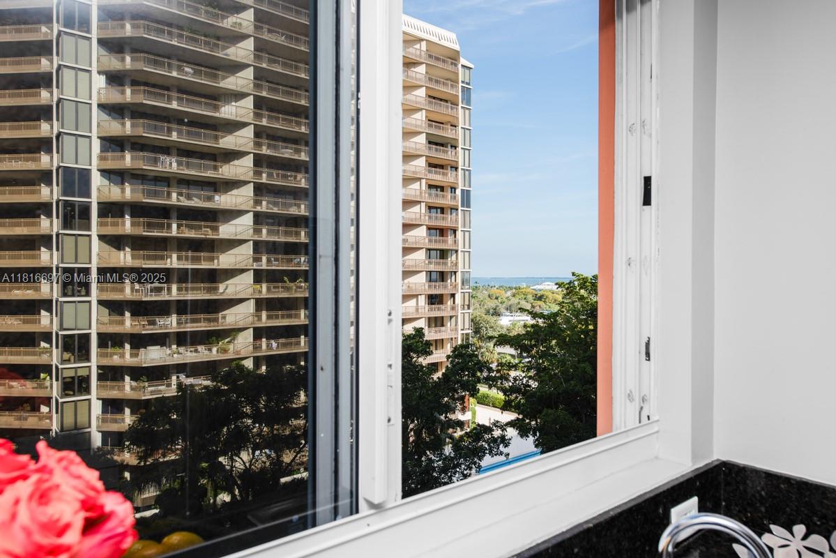 2951 S Bayshore Dr 917