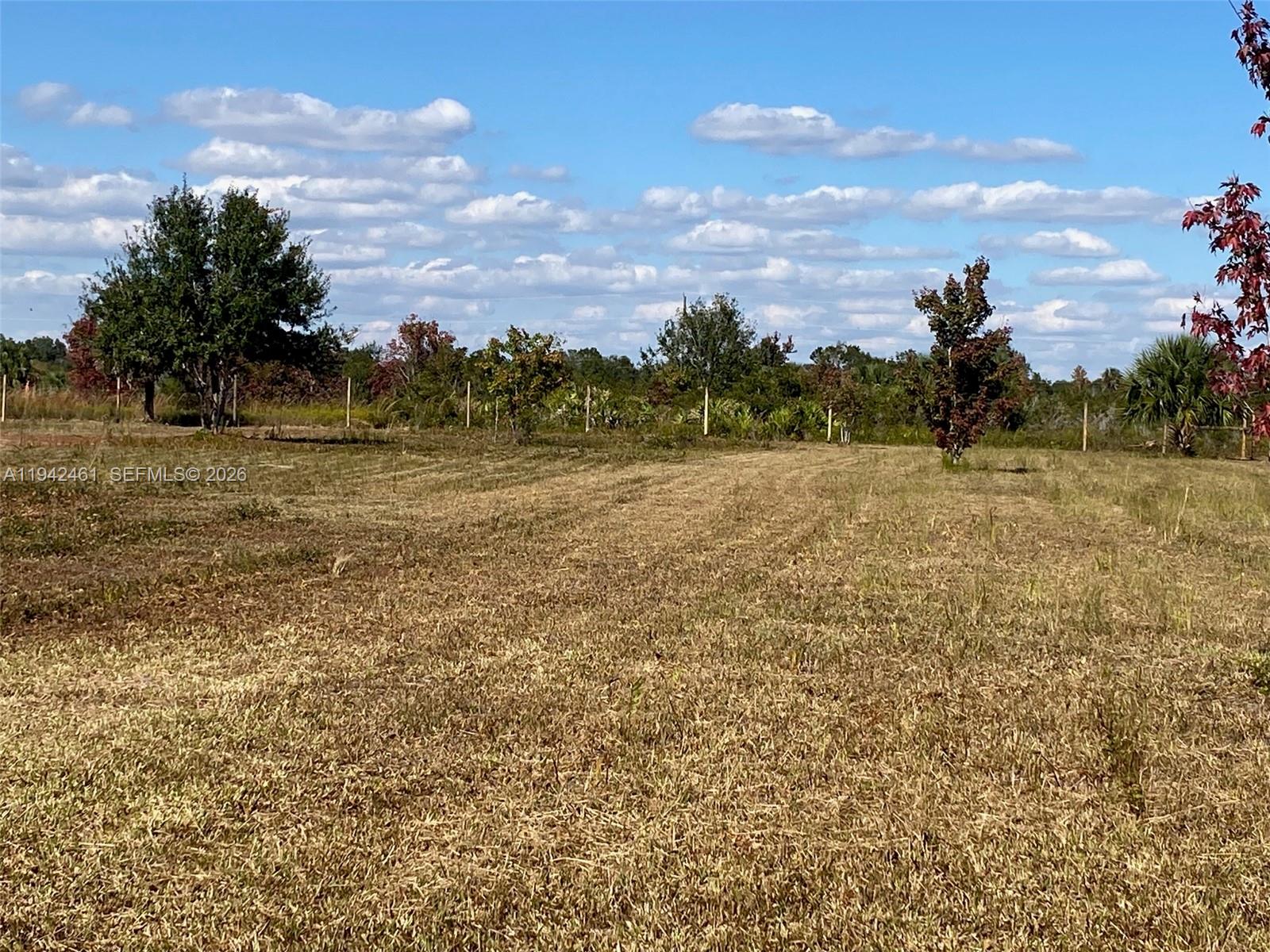 Southern Colonization Co - Land