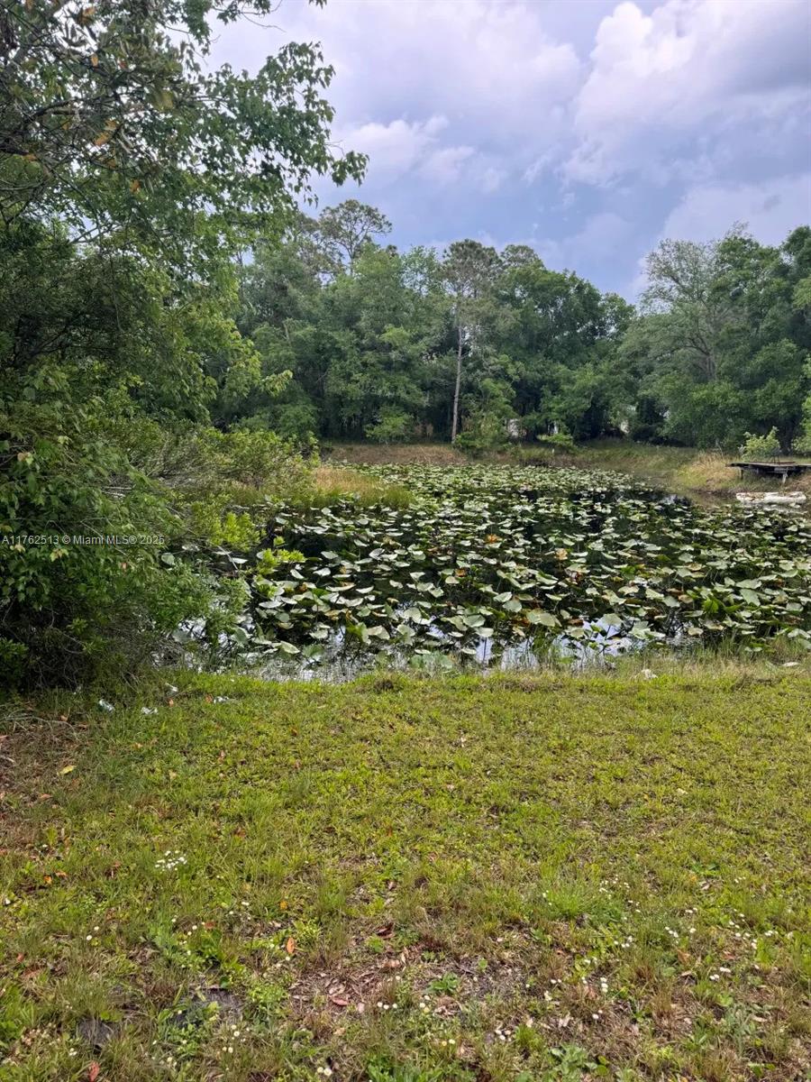 1362 SqFt and 2748 TLA W/F Home! Needs TLC. Fenced and cross-fenced with a Large Pond. Home and detached wooden storage shed. space for parking of boats and large vehicles. Whether you like fishing, hunting, agriculture or just privacy here you have it all