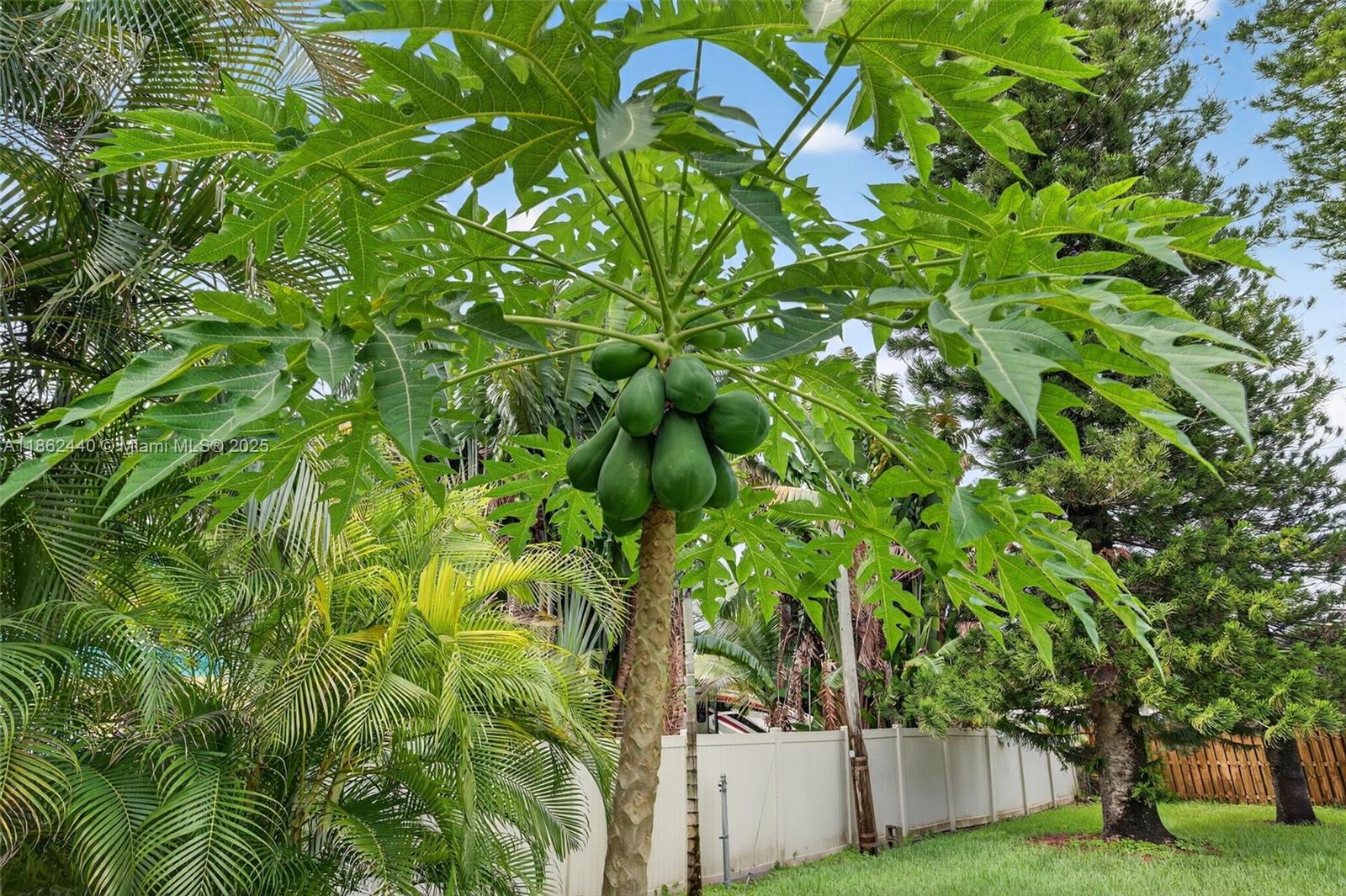 PLANTATION GARDENS SEC 4A - Residential