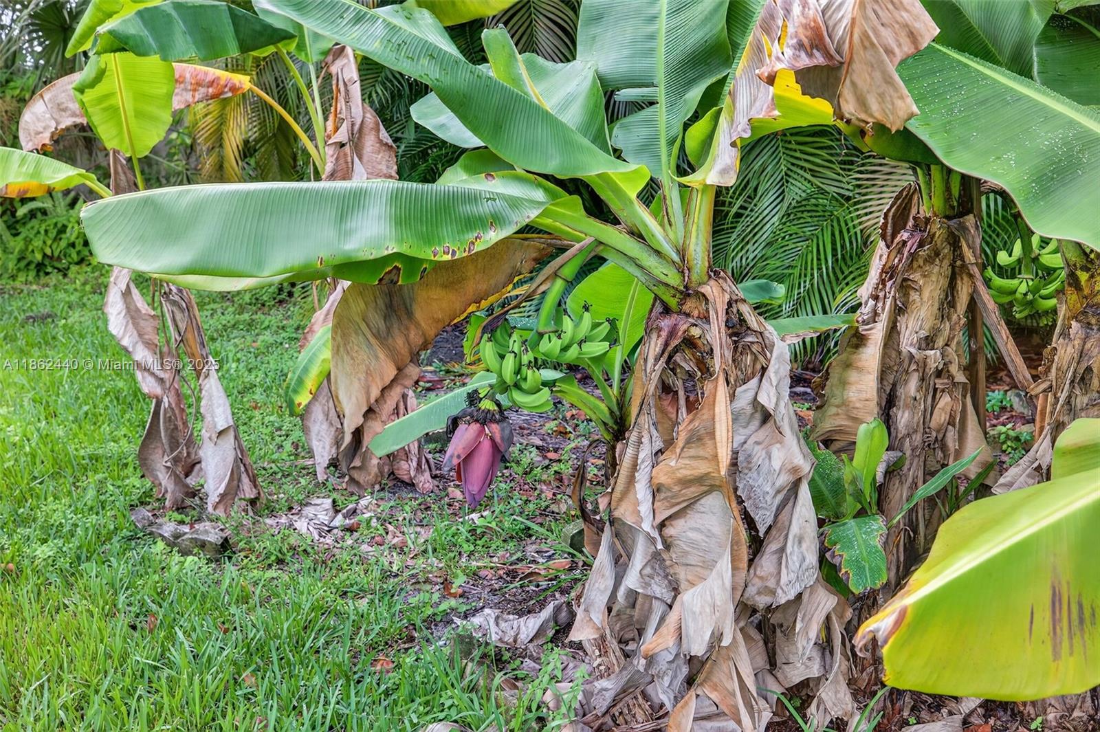 PLANTATION GARDENS SEC 4A - Residential