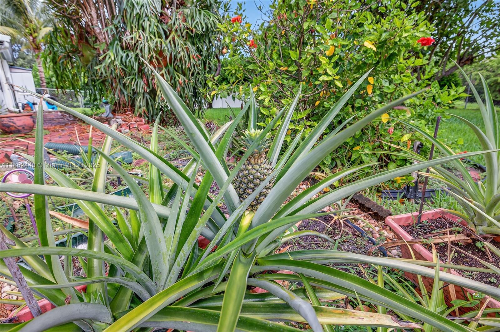 PLANTATION GARDENS SEC 4A - Residential