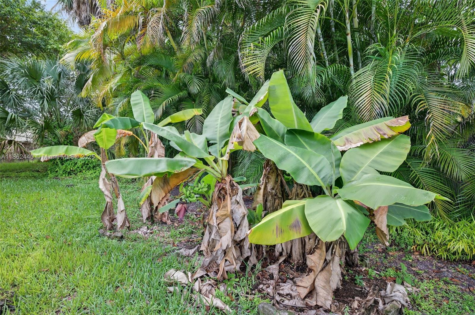 PLANTATION GARDENS SEC 4A - Residential