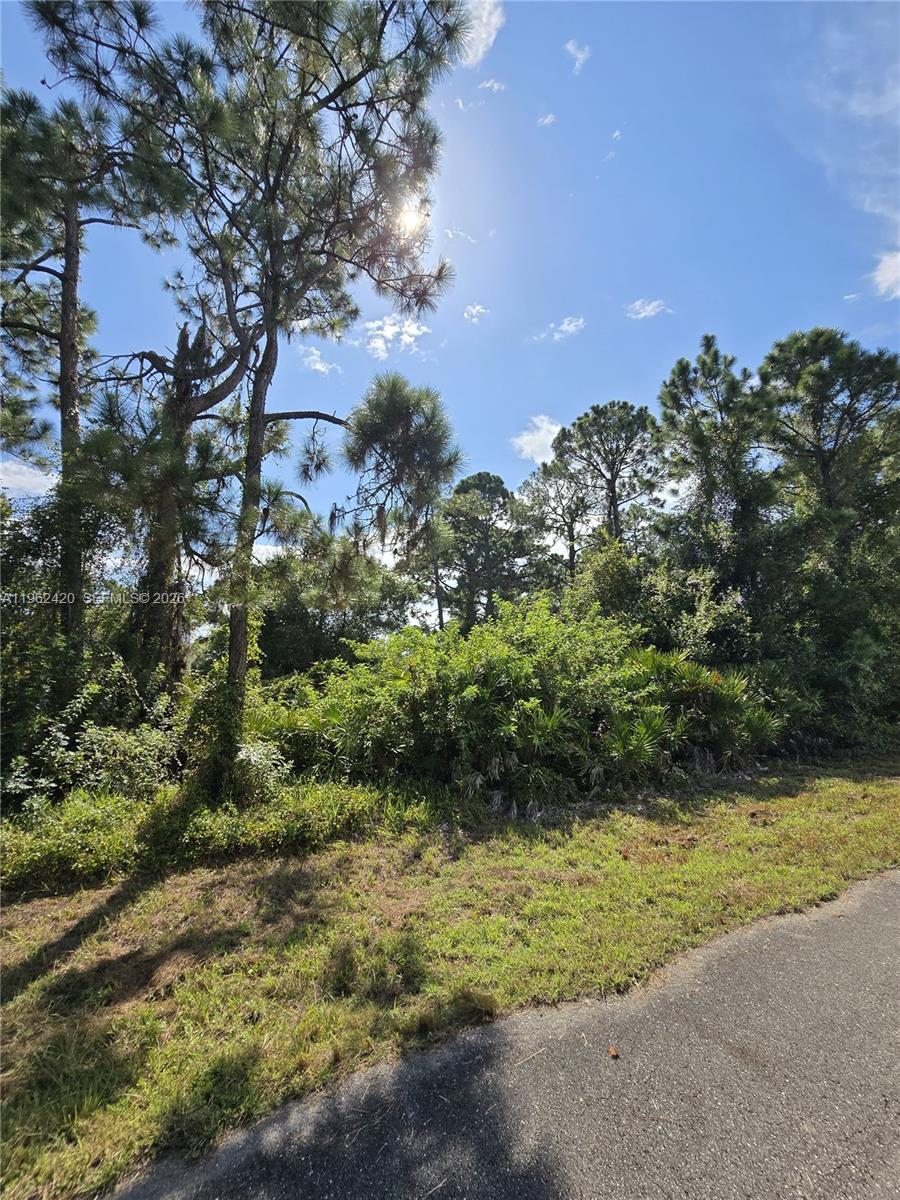 Lee County Unincorporated - Land