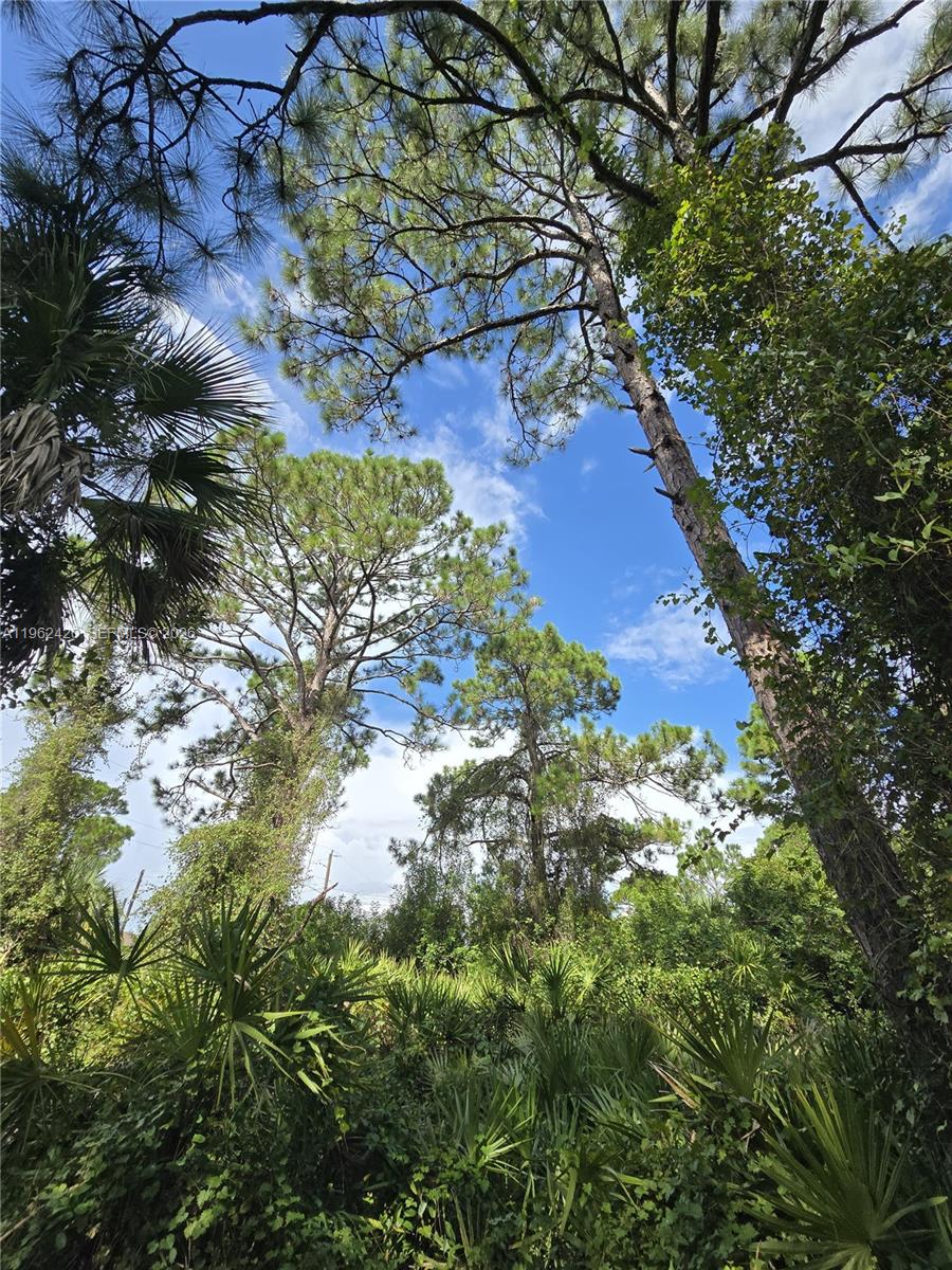 Lee County Unincorporated - Land