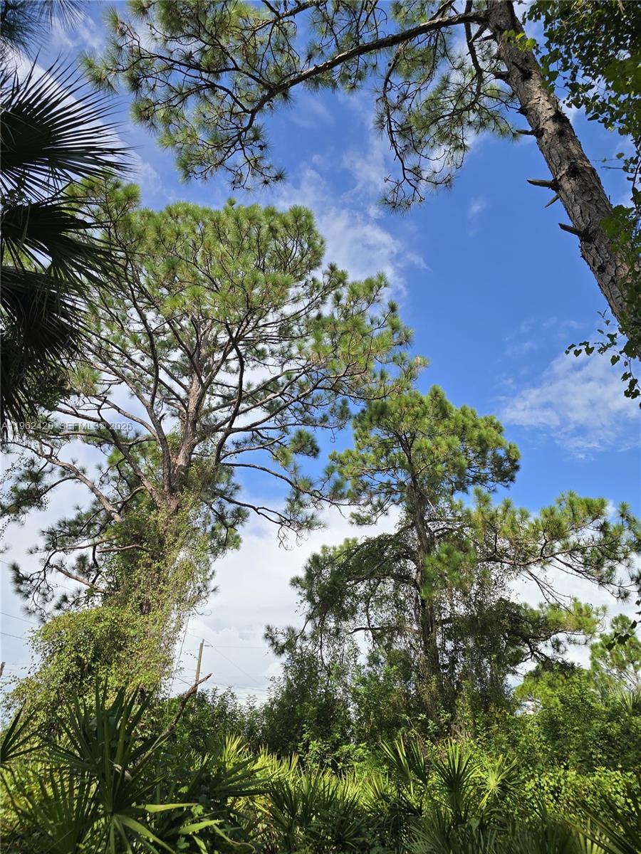 Lee County Unincorporated - Land