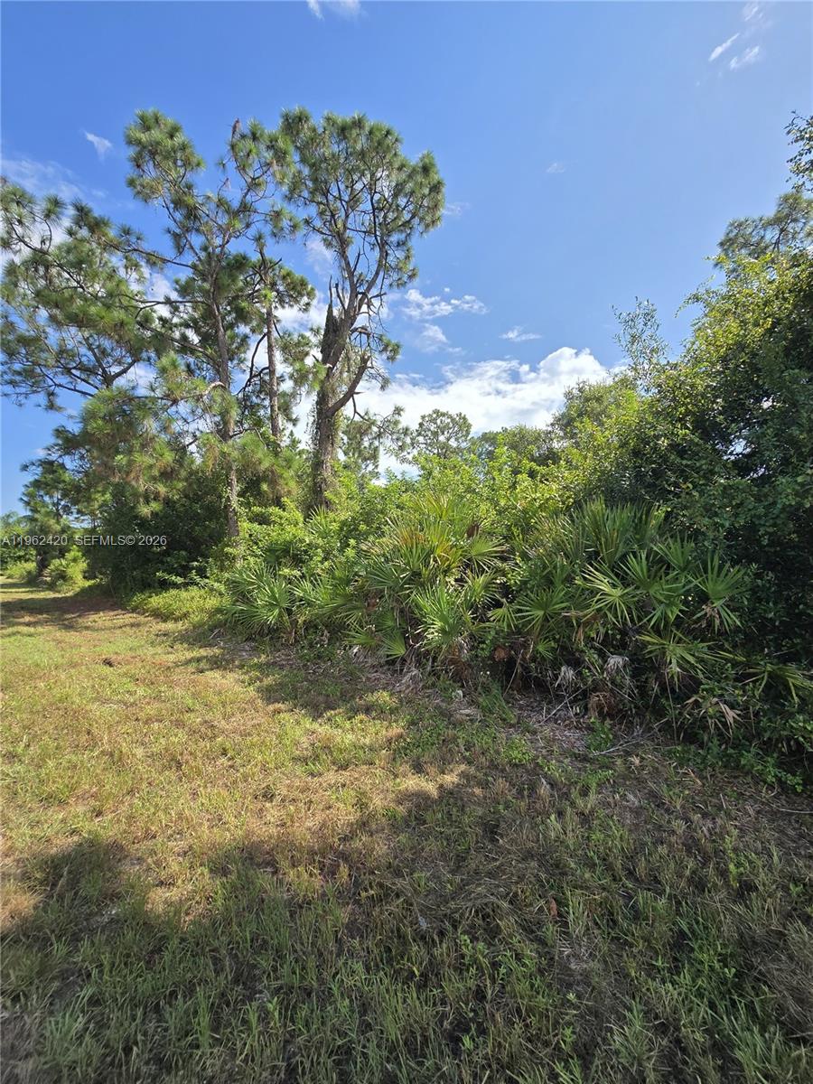 Lee County Unincorporated - Land